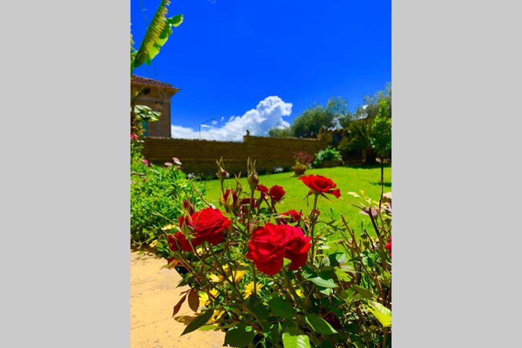 Flowery House Miglianico ภายนอก รูปภาพ