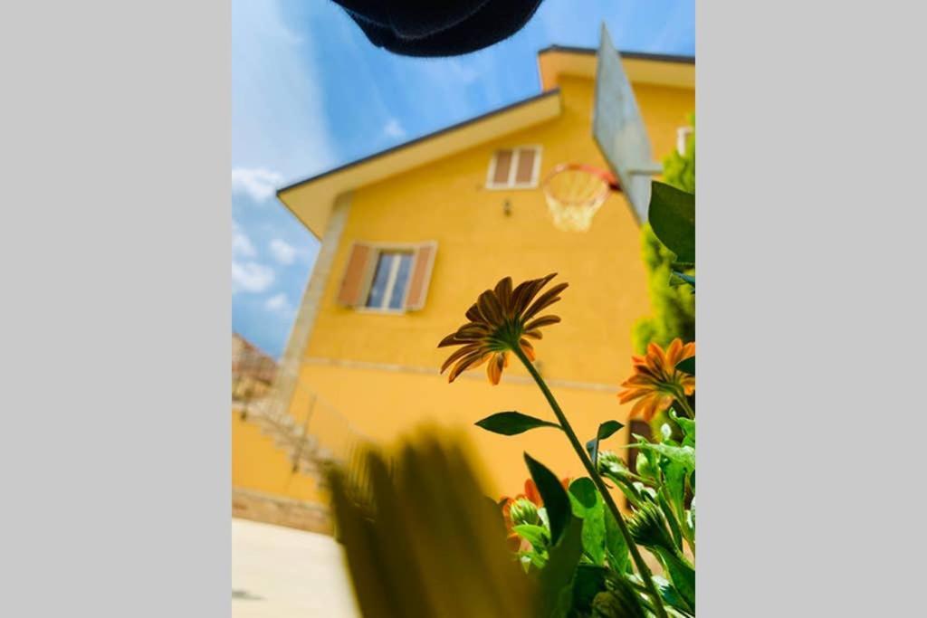 Flowery House Miglianico ภายนอก รูปภาพ
